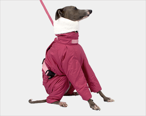 【美品】pimlikoピムリコ　インサレートスーツ　イタグレ最強スーツ ピムリコ インサレートスーツ イタグレサイズ pim:liko（ピムリコ）