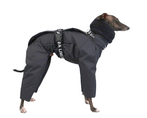 インサレートスーツ イタグレサイズ pim:liko（ピムリコ）