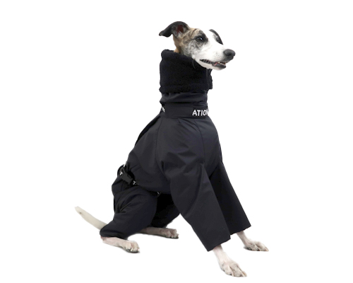 インサレートスーツ ウィペットサイズ pim:liko（ピムリコ）