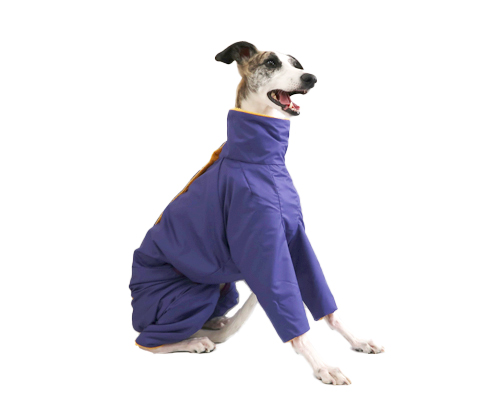 コールドプロテクションスーツ ウィペットサイズ pim:liko（ピムリコ）