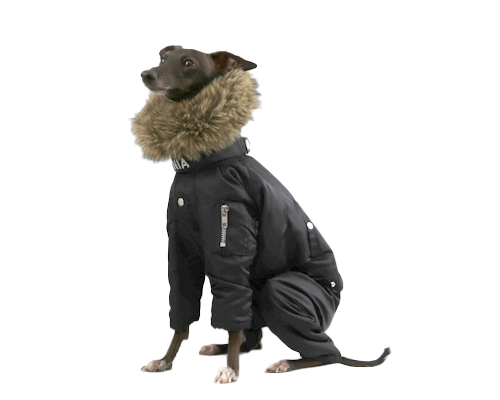 N-3Bフライトスーツ イタグレサイズ pim:liko（ピムリコ）